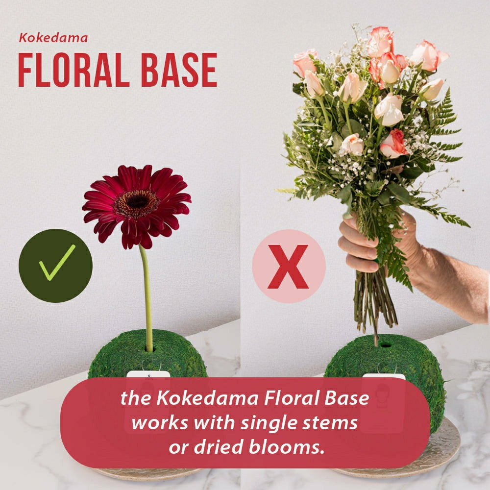 Plow & Hearth Natural MOSS 4.5" Kokedama Floral Base - Perfect for Single Stems, Fre
