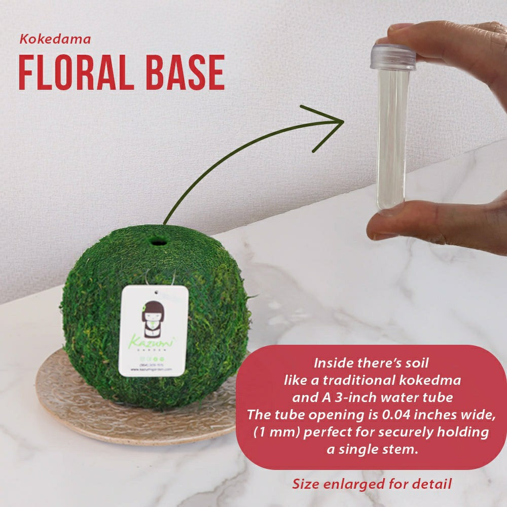 Plow & Hearth Natural MOSS 4.5" Kokedama Floral Base - Perfect for Single Stems, Fre