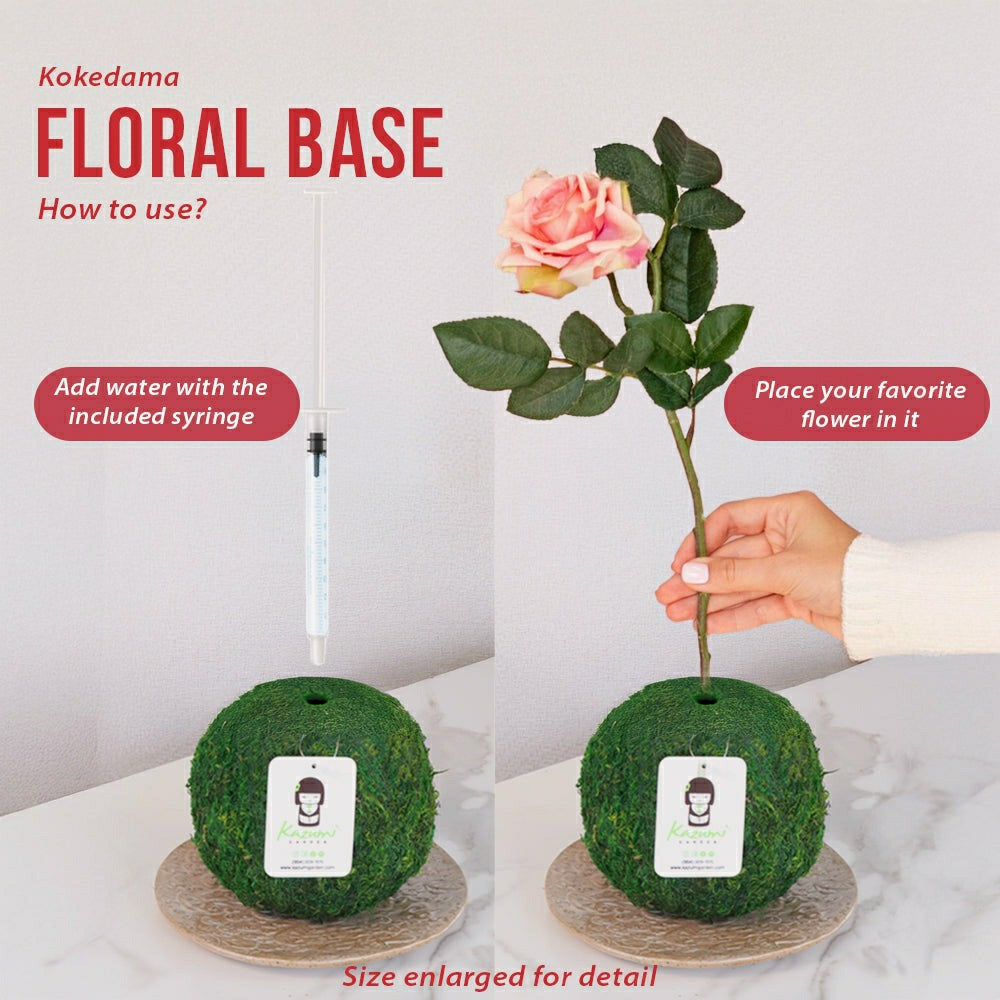 Plow & Hearth Natural MOSS 4.5" Kokedama Floral Base - Perfect for Single Stems, Fre