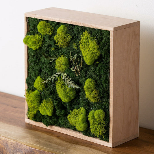 Plow & Hearth Moss Wall Art