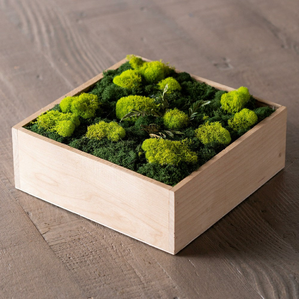 Plow & Hearth Moss Wall Art