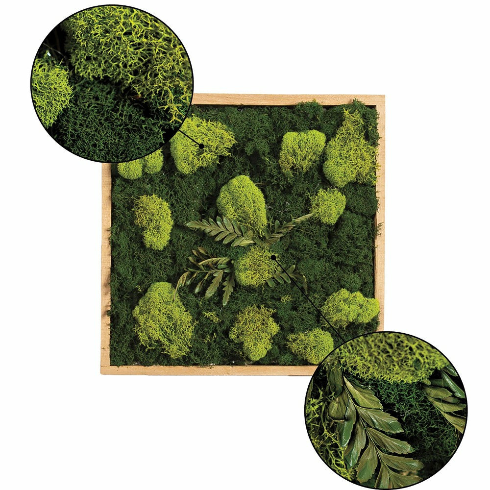 Plow & Hearth Moss Wall Art
