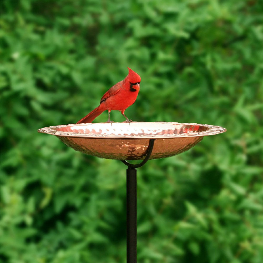 Plow & Hearth Pure Copper Birdbath on Powder-Coated Steel Pole With Sturdy Three-Pro
