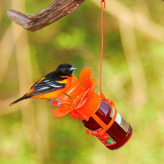 Plow & Hearth Jelly/Jam Jar Oriole Bird Feeder