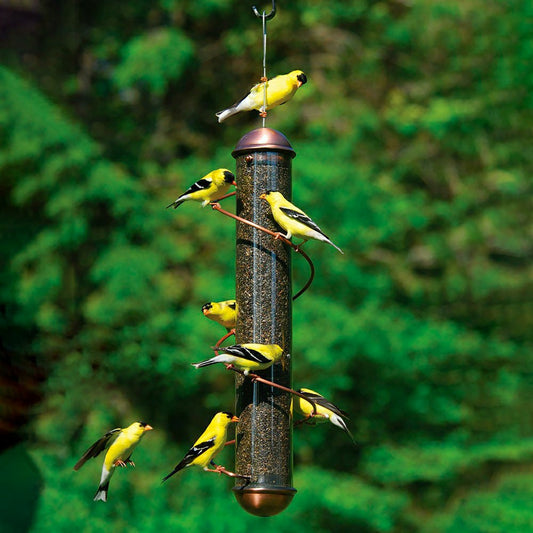 Plow & Hearth Copper-Colored Spiral-Perch Finch Bird Feeder