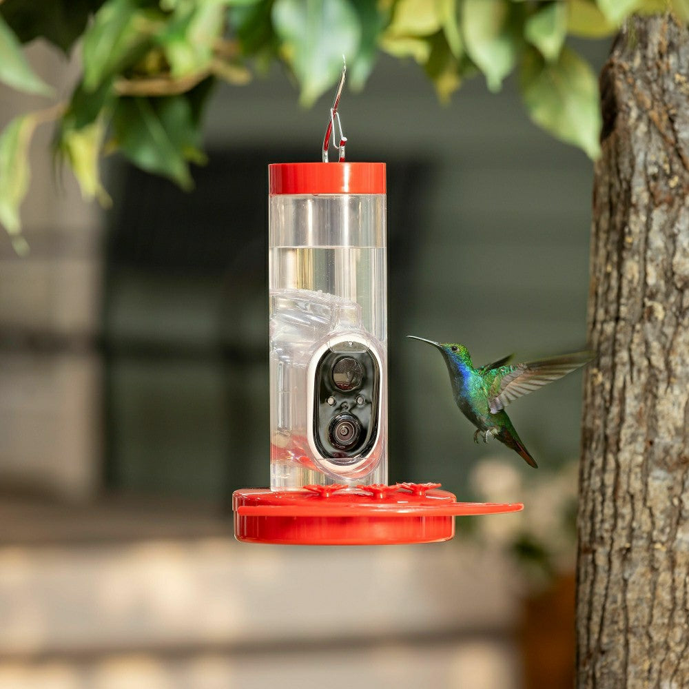 Plow & Hearth LED Smart Hummingbird Feeder with Camera