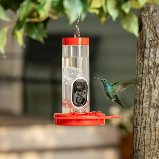 Plow & Hearth LED Smart Hummingbird Feeder with Camera