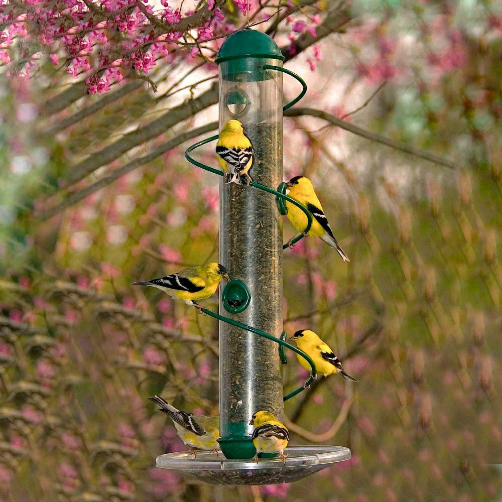 Plow & Hearth Green Spiral-Perch Finch Bird Feeder