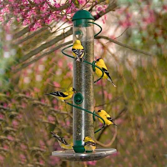 Plow & Hearth Green Spiral-Perch Finch Bird Feeder