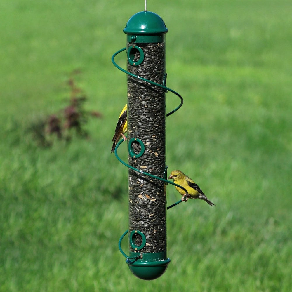 Plow & Hearth Green Spiral-Perch Finch Bird Feeder