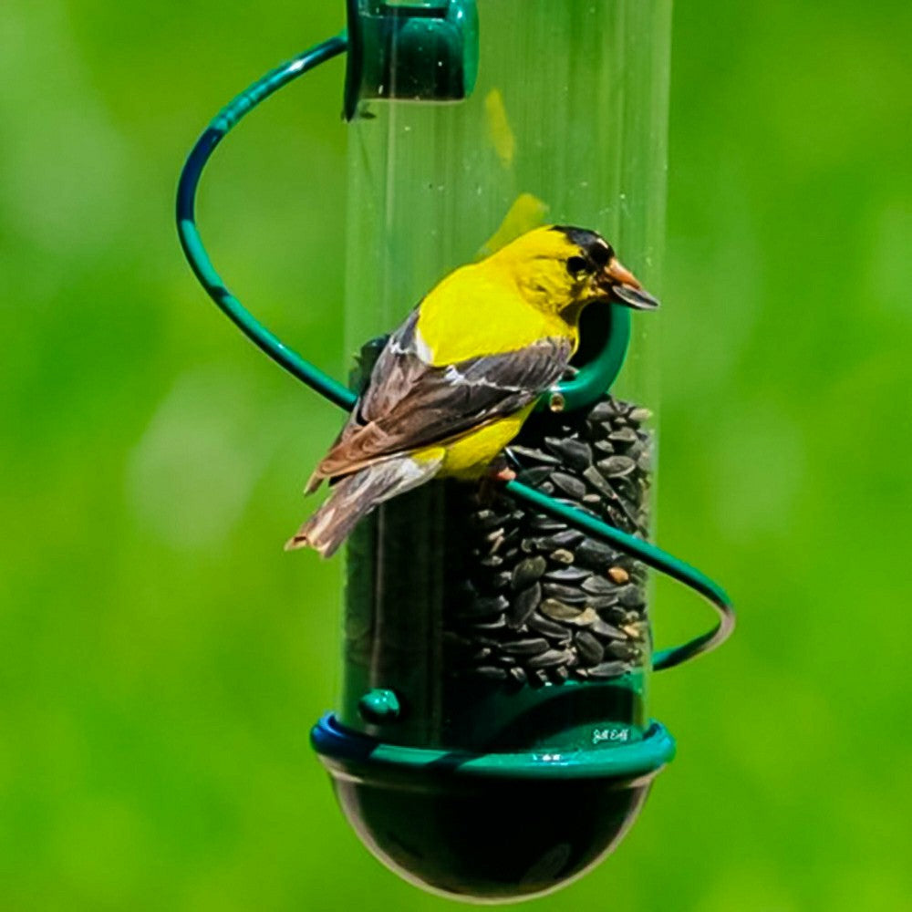 Plow & Hearth Green Spiral-Perch Finch Bird Feeder