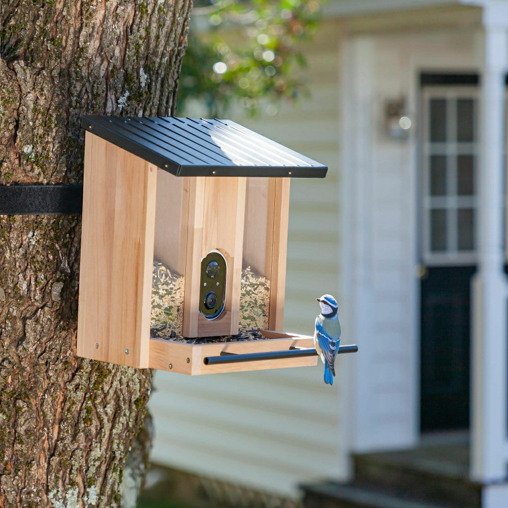 Plow & Hearth BirdsIVue Smart Feeder: Solar Wooden Bird Feeder