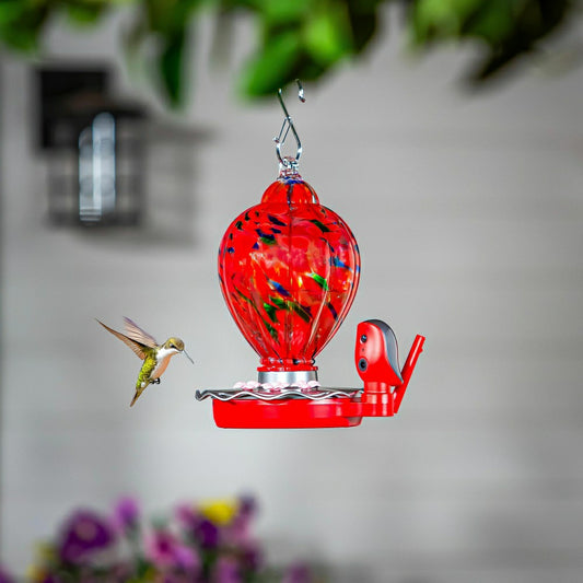 Plow & Hearth Solar Smart Hummingbird Feeder with HD Camera