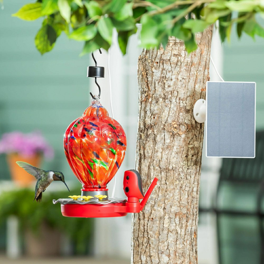 Plow & Hearth Solar Smart Hummingbird Feeder with HD Camera