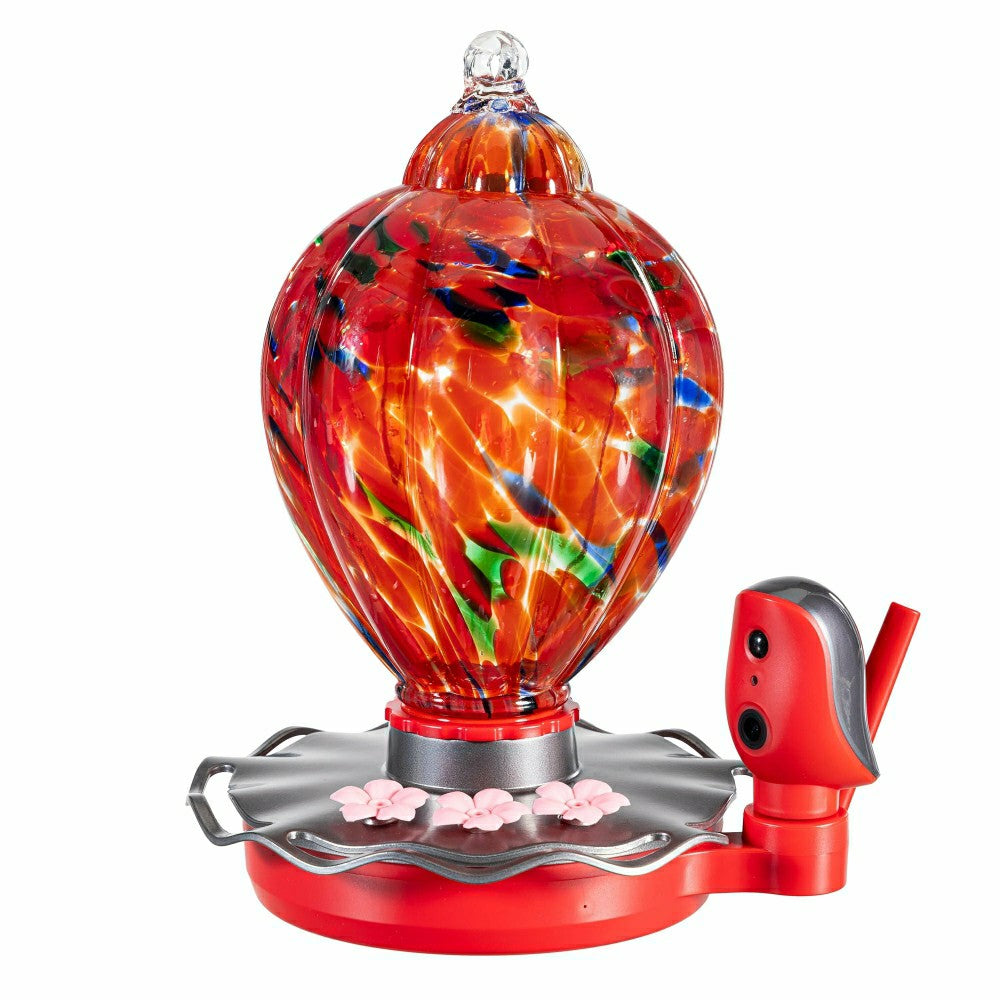 Plow & Hearth Solar Smart Hummingbird Feeder with HD Camera