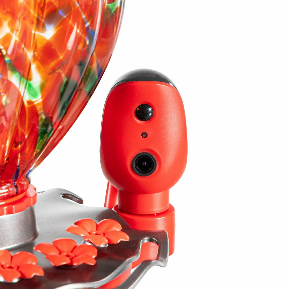 Plow & Hearth Solar Smart Hummingbird Feeder with HD Camera