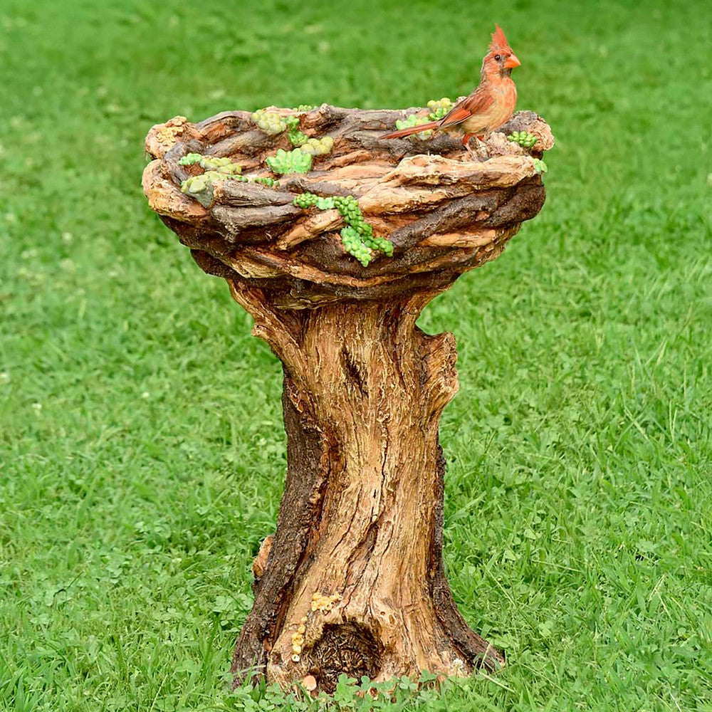 Plow & Hearth Succulent Bird Nest Tree Stump Birdbath