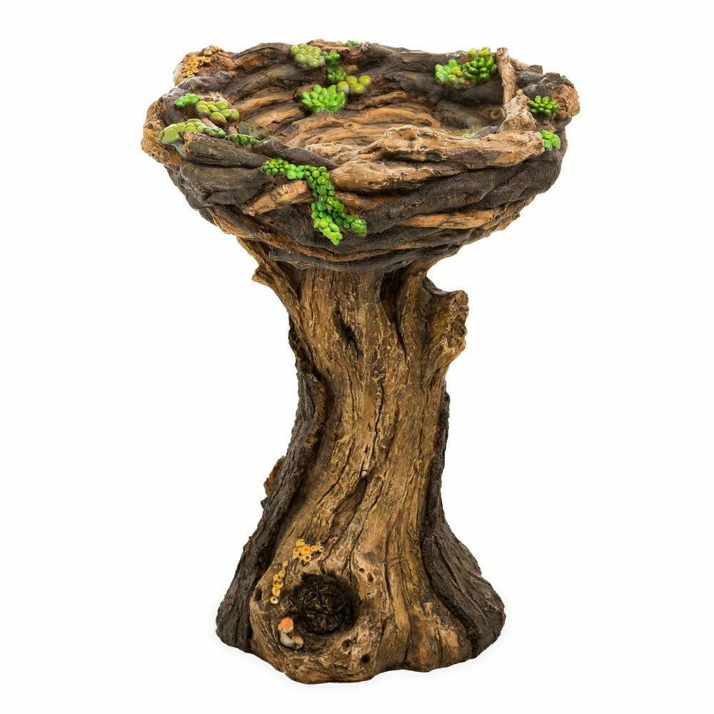 Plow & Hearth Succulent Bird Nest Tree Stump Birdbath