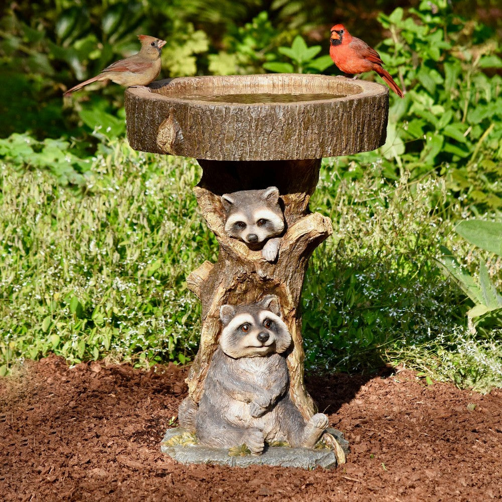 Plow & Hearth Resin Raccoon Birdbath