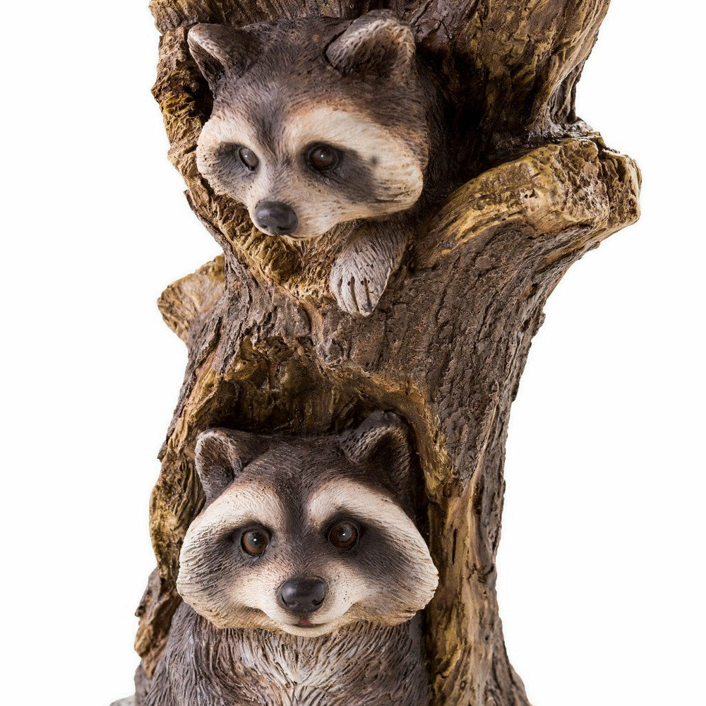 Plow & Hearth Resin Raccoon Birdbath