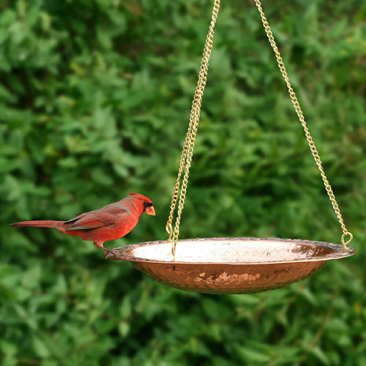 Plow & Hearth Pure Copper Hanging Birdbath on 17" Long Brass Chain with Hook