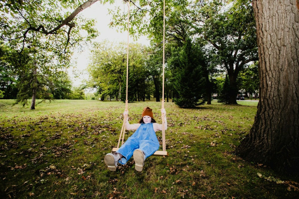 Plow & Hearth Classic Ash Bench Swing