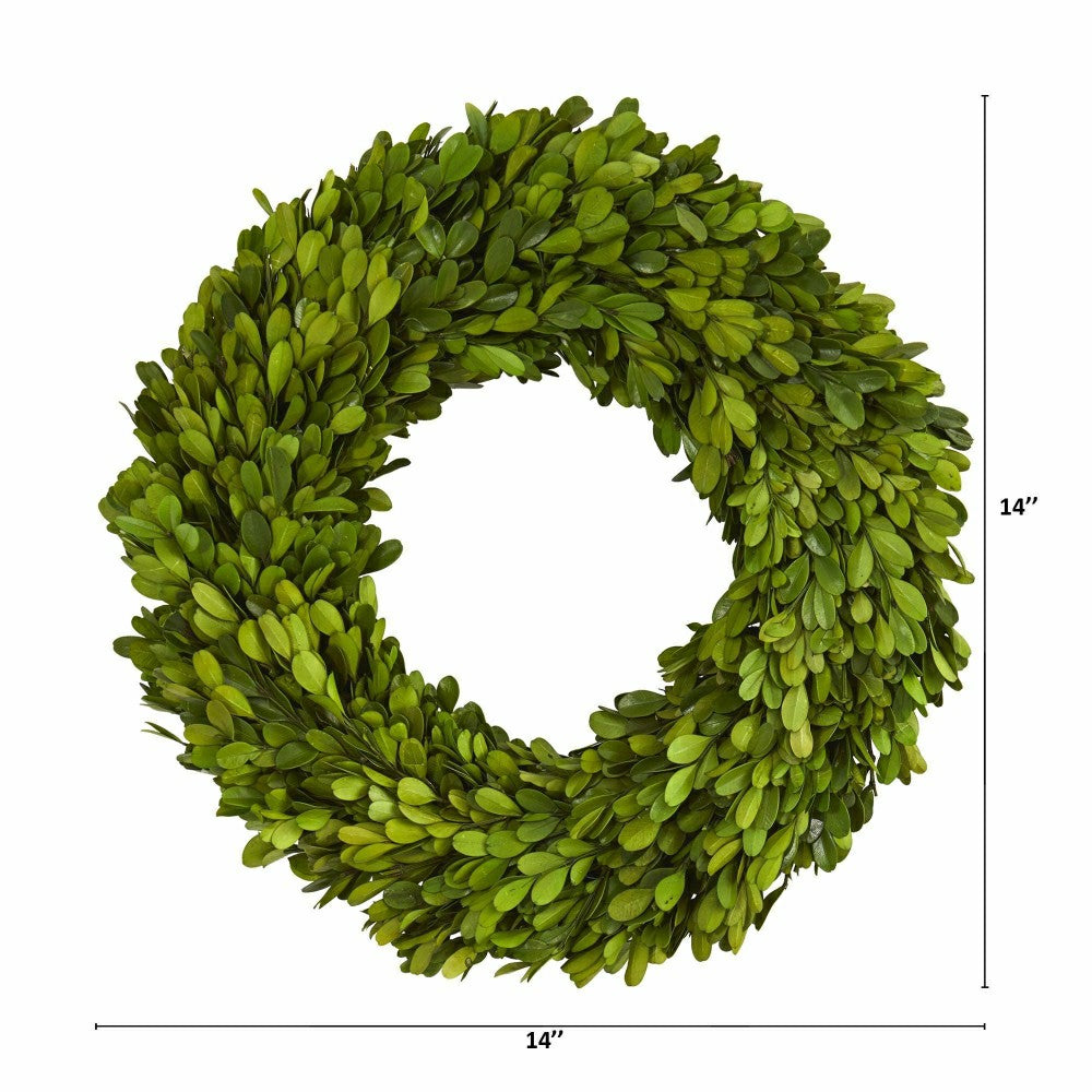 Plow & Hearth 14” Preserved Boxwood Wreath