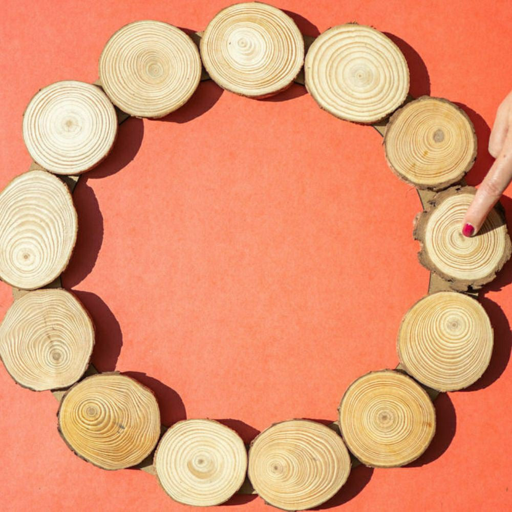 Plow & Hearth Spring Wood Slice Wreath Kit