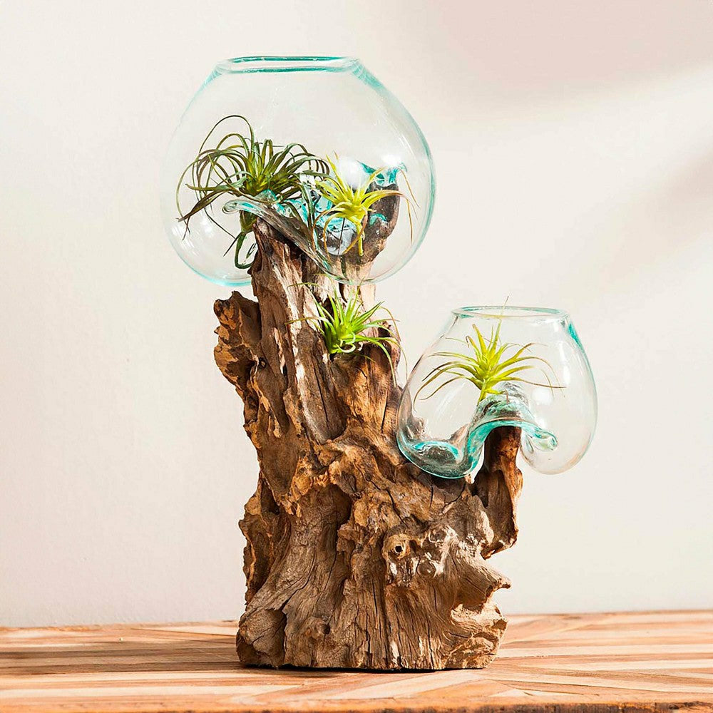 Plow & Hearth Hand Crafted Double Glass Planter on Driftwood