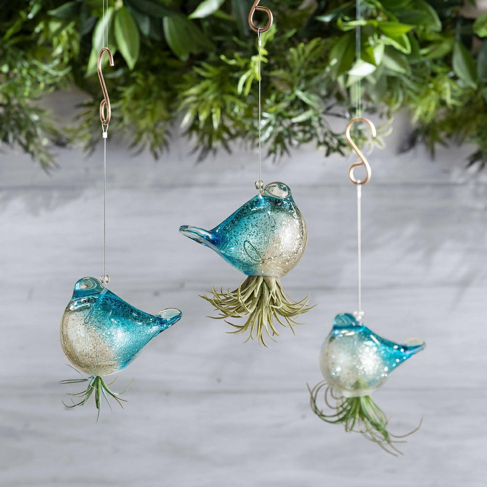Plow & Hearth Hanging Bird Glass Airplant Holders, Set of 3