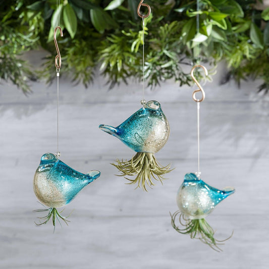 Plow & Hearth Hanging Bird Glass Airplant Holders, Set of 3