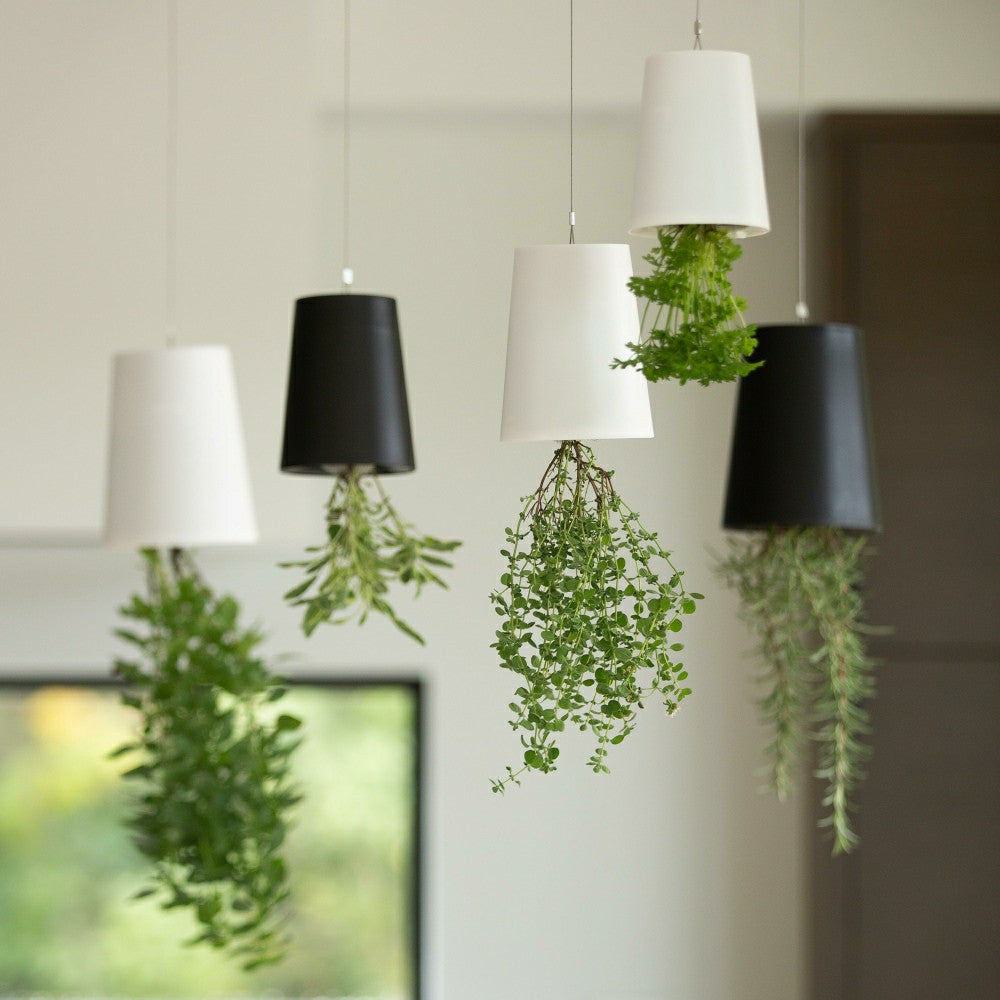 Plow & Hearth MEDIUM SKY PLANTER