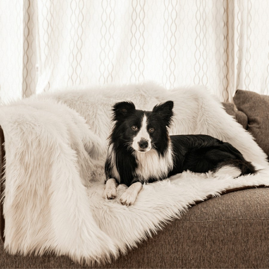 Plow & Hearth PupProtector™ Waterproof Throw Blanket - Polar White