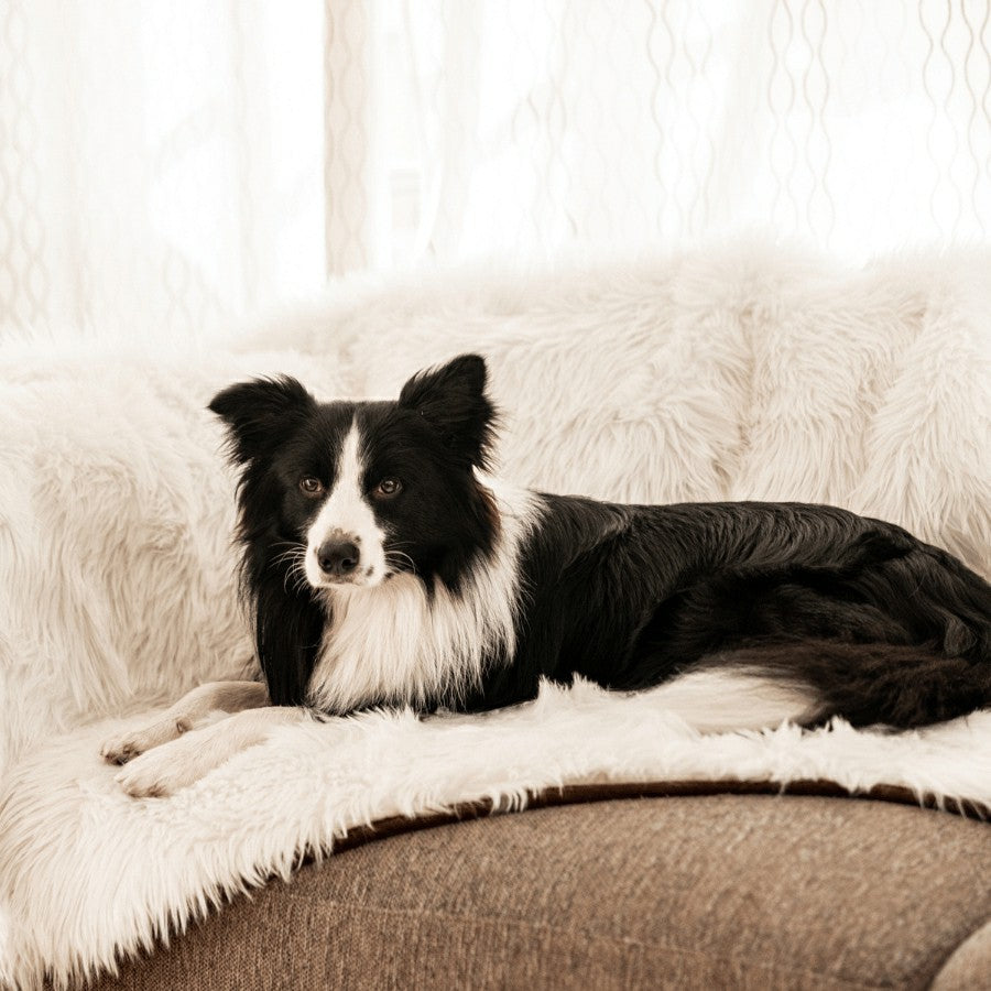 Plow & Hearth PupProtector™ Waterproof Throw Blanket - Polar White