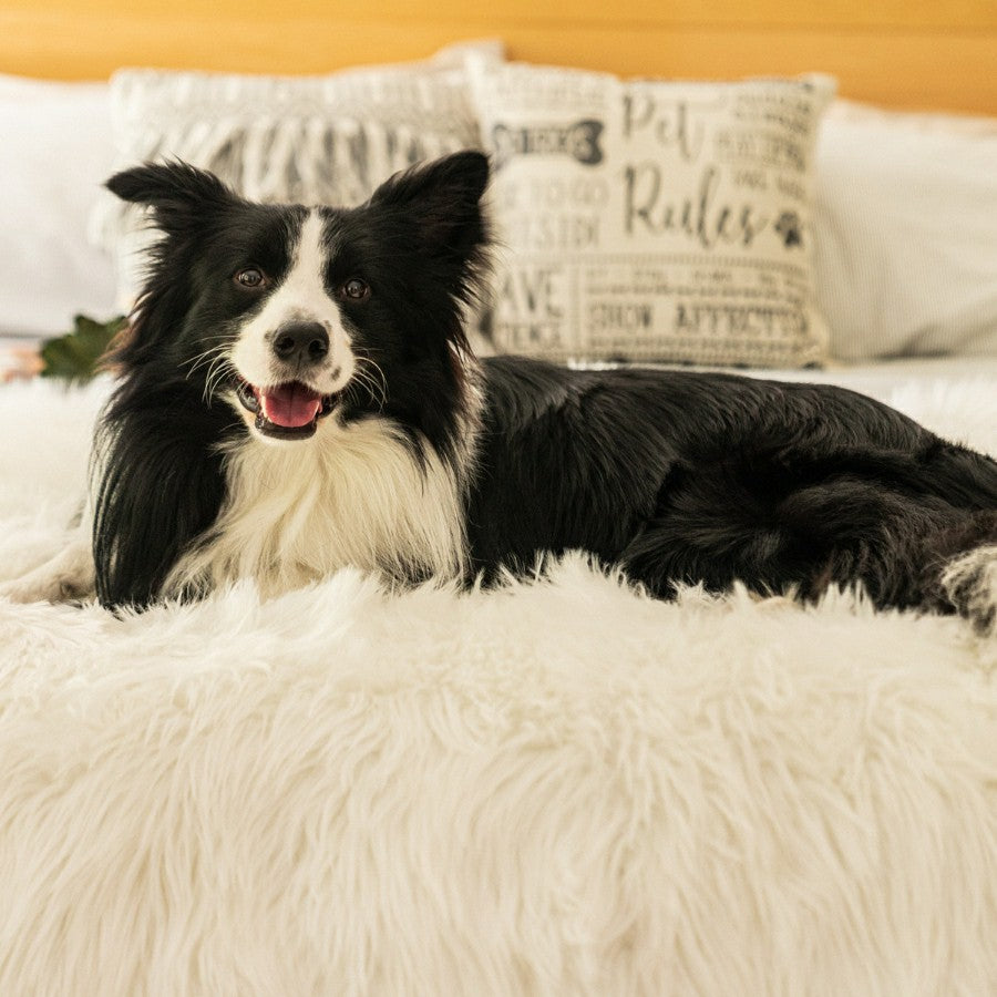 Plow & Hearth PupProtector™ Waterproof Throw Blanket - Polar White
