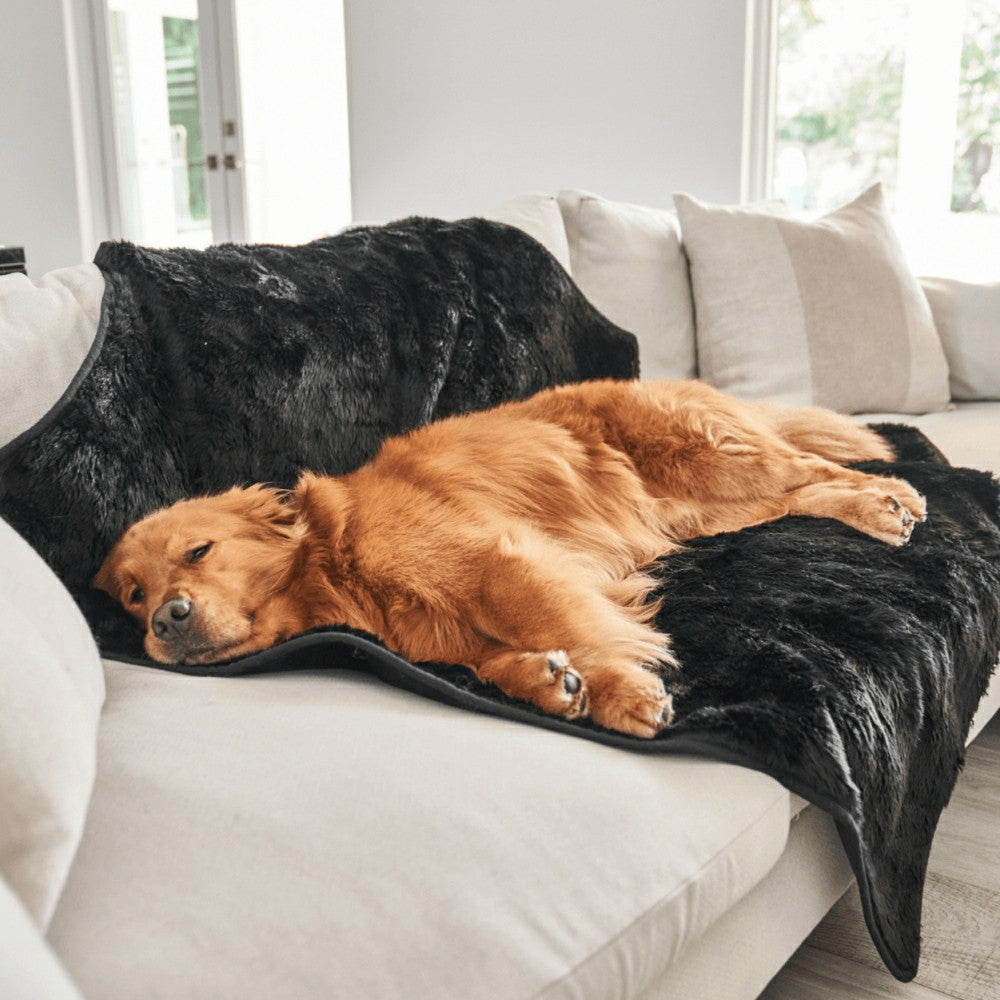 Plow & Hearth PupProtector™ Short Fur Waterproof Throw Blanket - Midnight Black