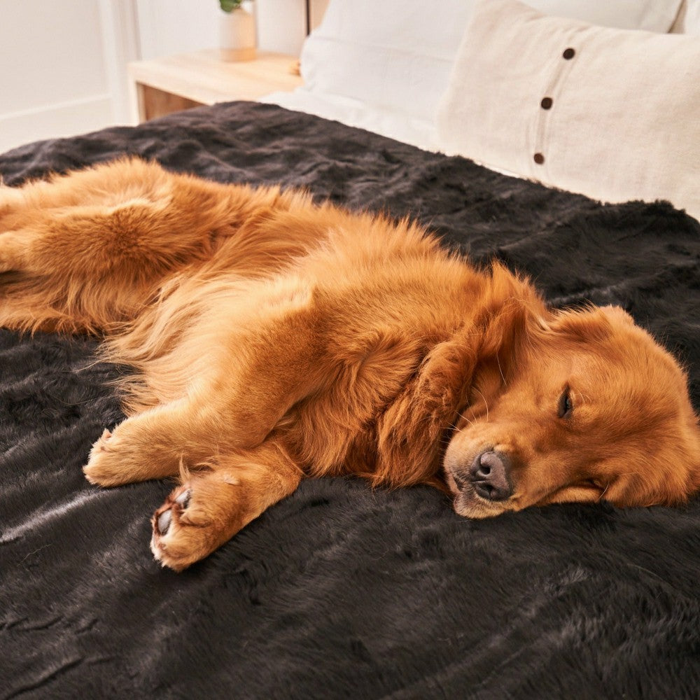Plow & Hearth PupProtector™ Short Fur Waterproof Throw Blanket - Midnight Black