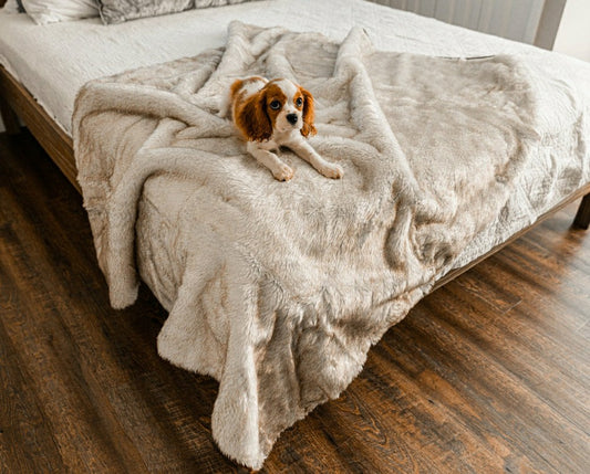 Plow & Hearth PupProtector™ Short Fur Waterproof Throw Blanket - White with Brown Ac