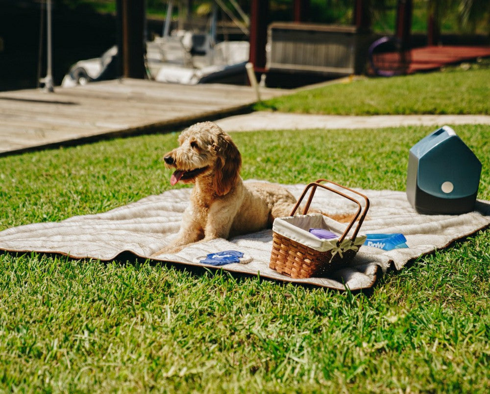 Plow & Hearth PupProtector™ Short Fur Waterproof Throw Blanket - White with Brown Ac