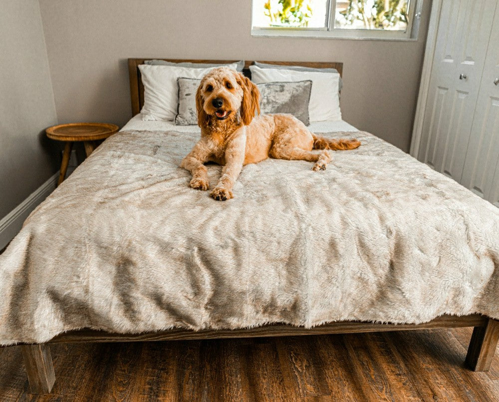 Plow & Hearth PupProtector™ Short Fur Waterproof Throw Blanket - White with Brown Ac