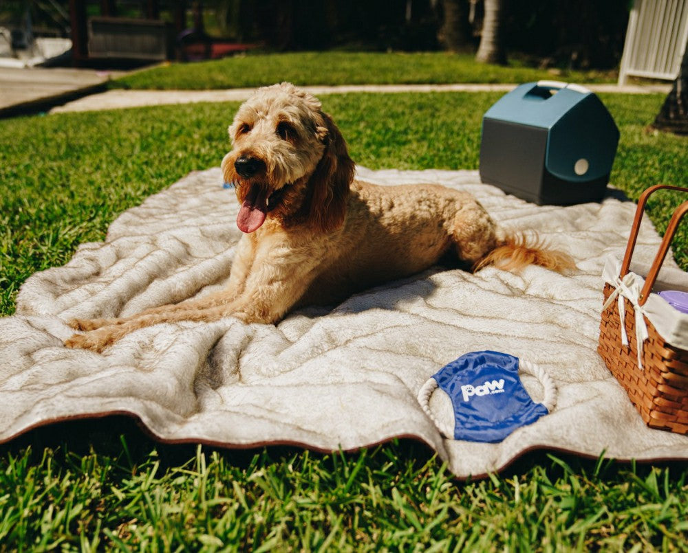 Plow & Hearth PupProtector™ Short Fur Waterproof Throw Blanket - White with Brown Ac