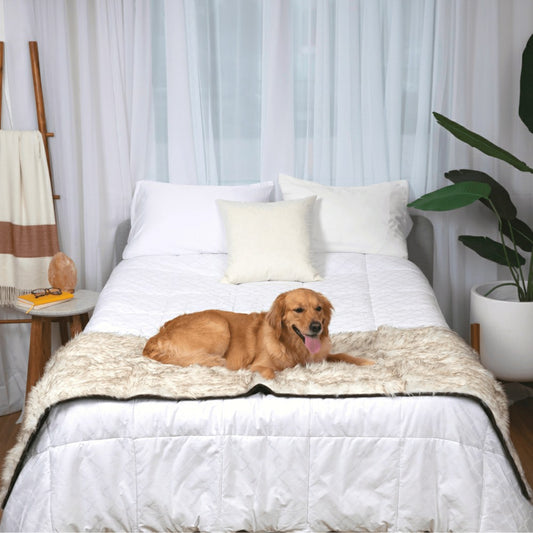 Plow & Hearth PupProtector™ Waterproof Bed Runner - White with Brown Accents
