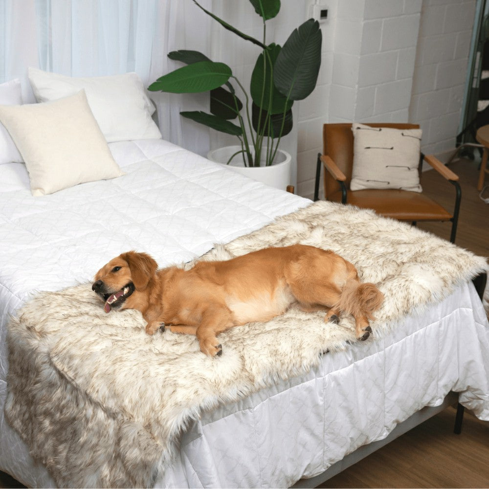 Plow & Hearth PupProtector™ Waterproof Bed Runner - White with Brown Accents