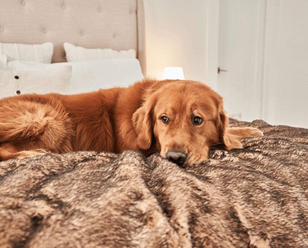 Plow & Hearth PupProtector™ Short Fur Waterproof Throw Blanket - Sable Tan