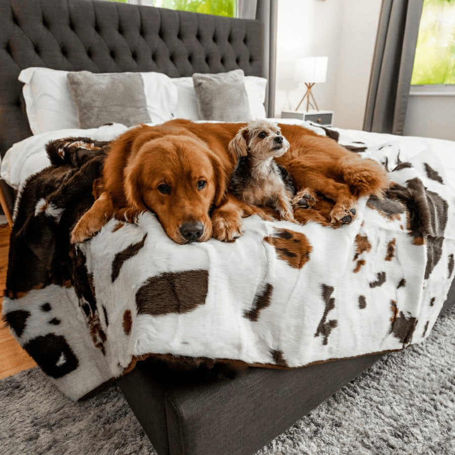 Plow & Hearth PupProtector™ Waterproof Throw Blanket - Brown Faux Cowhide