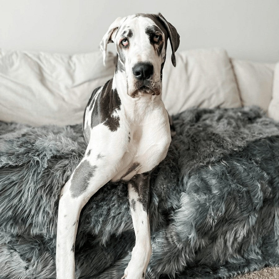 Plow & Hearth PupProtector™ Waterproof Throw Blanket - Charcoal Grey