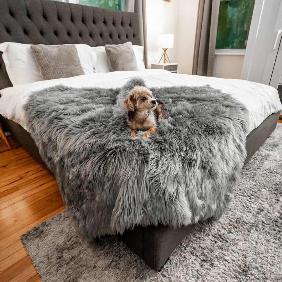 Plow & Hearth PupProtector™ Waterproof Throw Blanket - Charcoal Grey