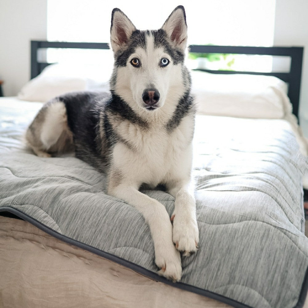 Plow & Hearth PupChill™ Cooling Waterproof Blanket - Arctic Grey