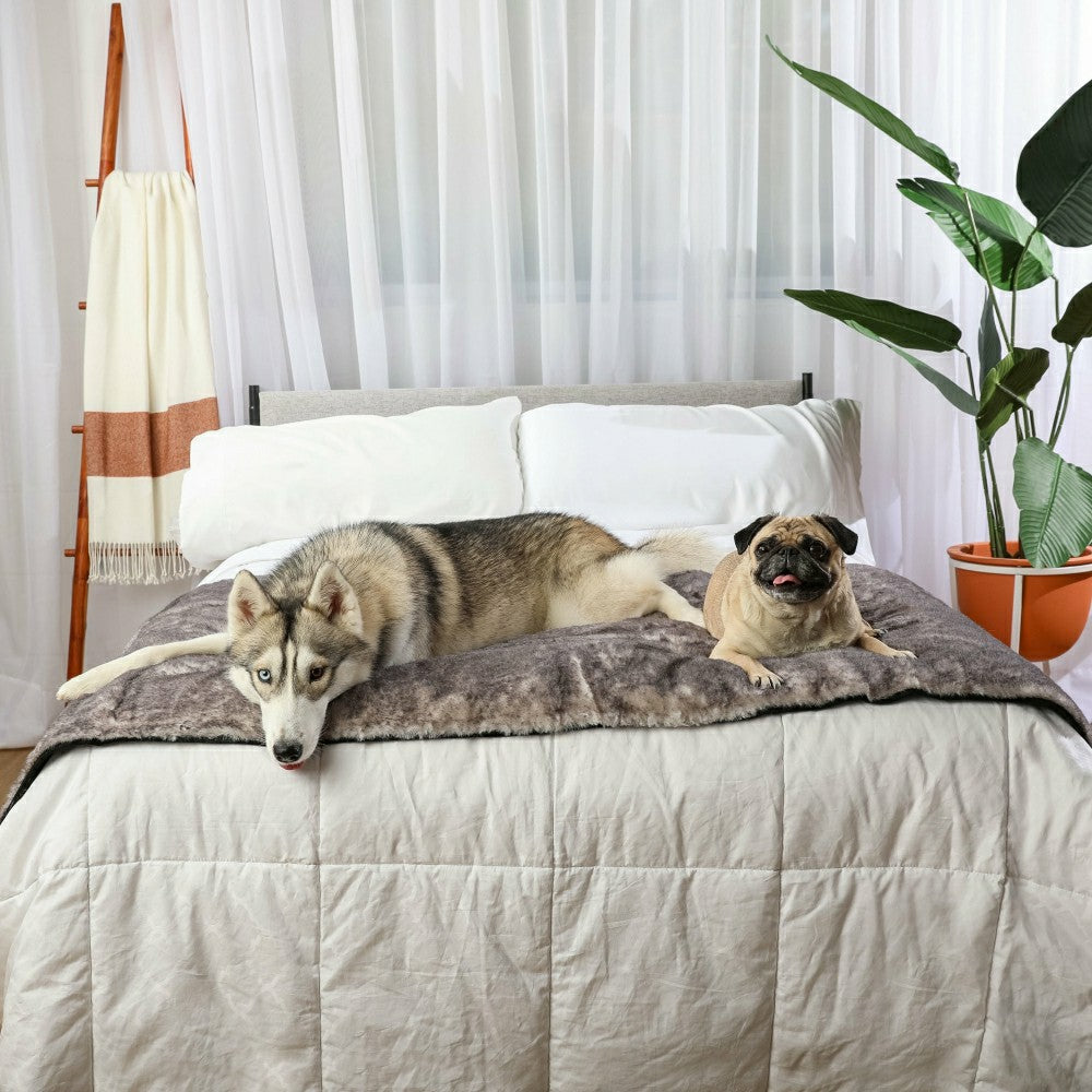 Plow & Hearth PupProtector™ Luxe Waterproof Bed Runner - Ultra Soft Chinchilla