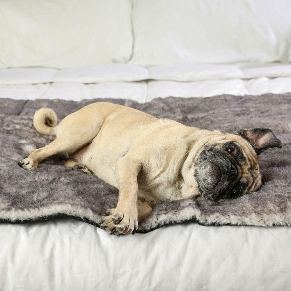 Plow & Hearth PupProtector™ Luxe Waterproof Bed Runner - Ultra Soft Chinchilla